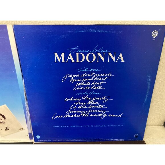 6Pcs Vinyl Records Whitney Houston, Bad by Michael Jackson, Madonna, Stevie Wand - Picture 12 of 14